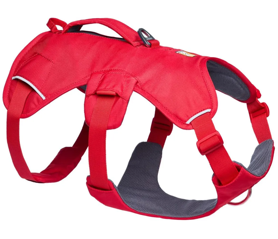RUFFWEAR® Hundegeschirr Web Master™