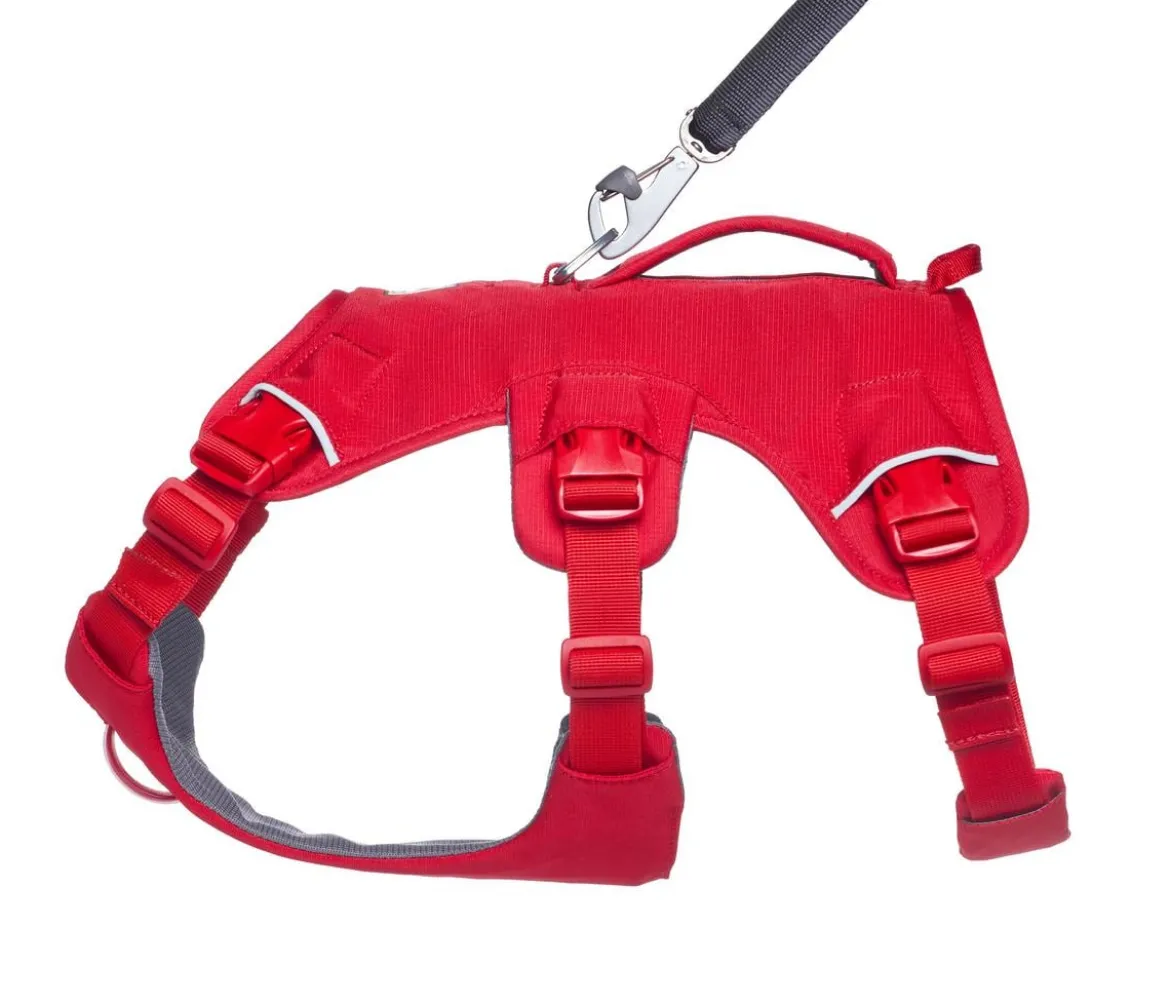 RUFFWEAR® Hundegeschirr Web Master™