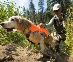 RUFFWEAR® Hundegeschirr Web Master™