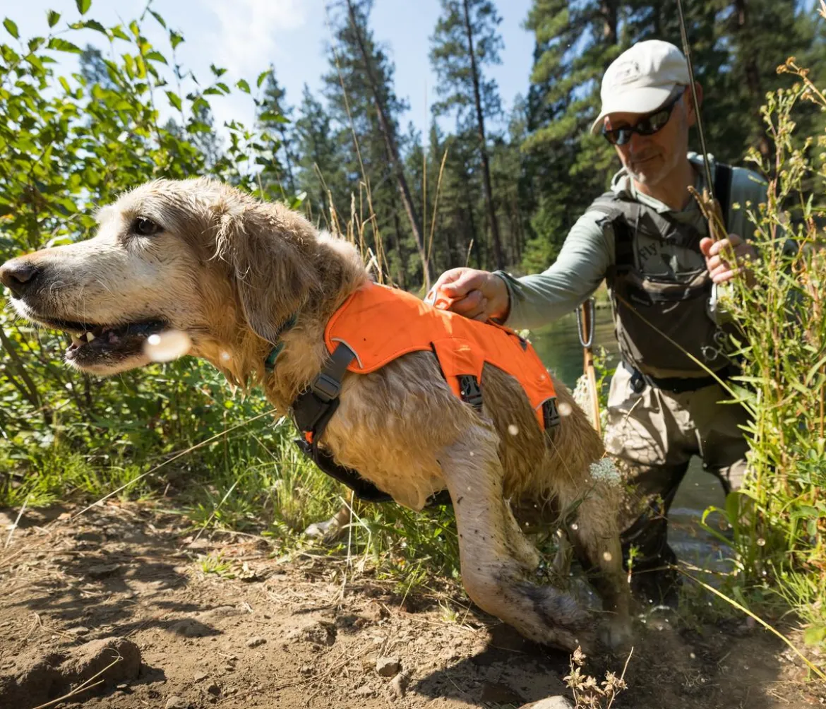 RUFFWEAR® Hundegeschirr Web Master™