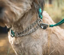 RUFFWEAR® Hundehalsband Chain Reaction™