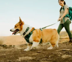 RUFFWEAR® Hundehalsband Front Range™ Flex