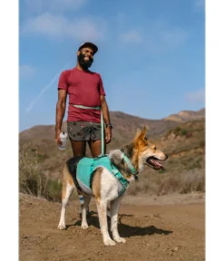 RUFFWEAR® Hundehalsband Hi & Light™ Collar