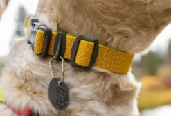 RUFFWEAR® Hundehalsband Hi & Light™ Collar