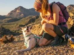RUFFWEAR® Hundehalsband Hi & Light™ Collar