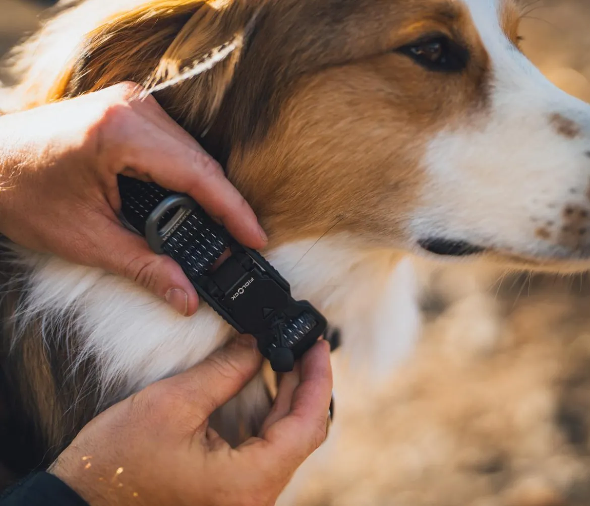 RUFFWEAR® Hundehalsband Ridgeline™