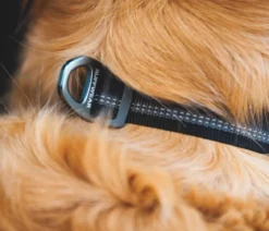 RUFFWEAR® Hundehalsband Top Rope™ mit Metallschnalle