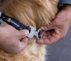 RUFFWEAR® Hundehalsband Top Rope™ mit Metallschnalle