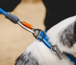 RUFFWEAR® Hundehalsband Top Rope™ mit Metallschnalle