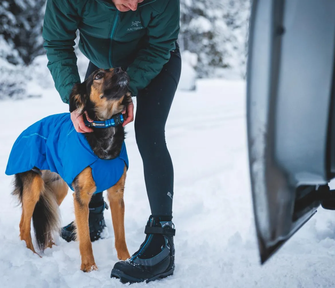 RUFFWEAR® Hundehalsband Top Rope™ mit Metallschnalle