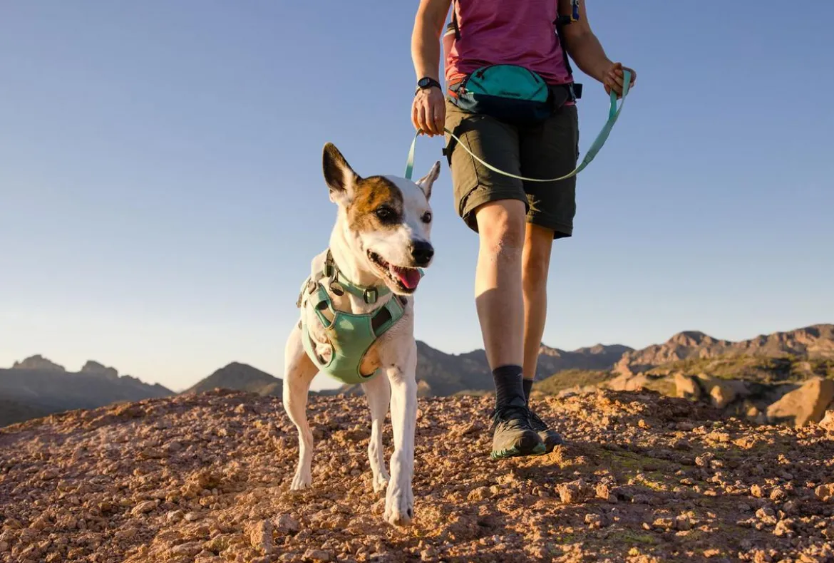 RUFFWEAR® Hundeleine Hi & Light™ Leash, 1,4 m