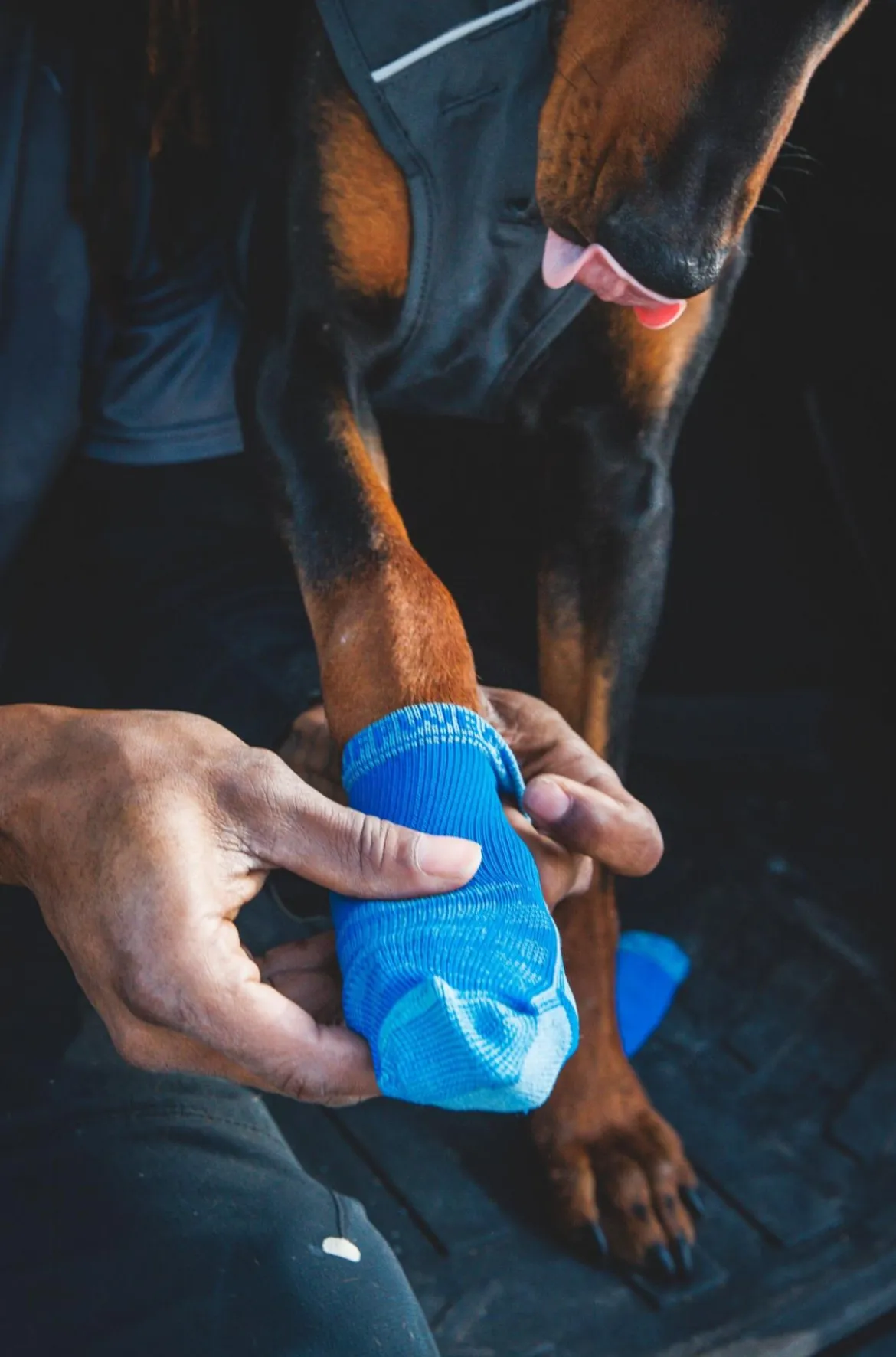 RUFFWEAR® Hundesocken Bark'n Boot™, 4er Set