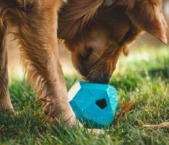 RUFFWEAR® Hundespielzeug Gnawt-a-Rock™, ca. Ø11,5 cm