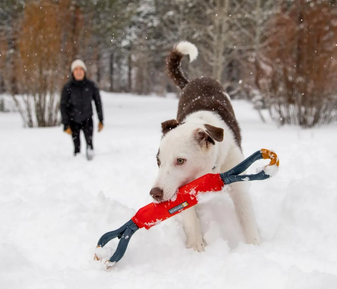 RUFFWEAR® Hundespielzeug Pacific Loop™, ca. L52 cm