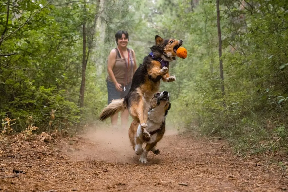 RUFFWEAR® Hundespielzeug TURNUP™, ca. Ø6/H8 cm