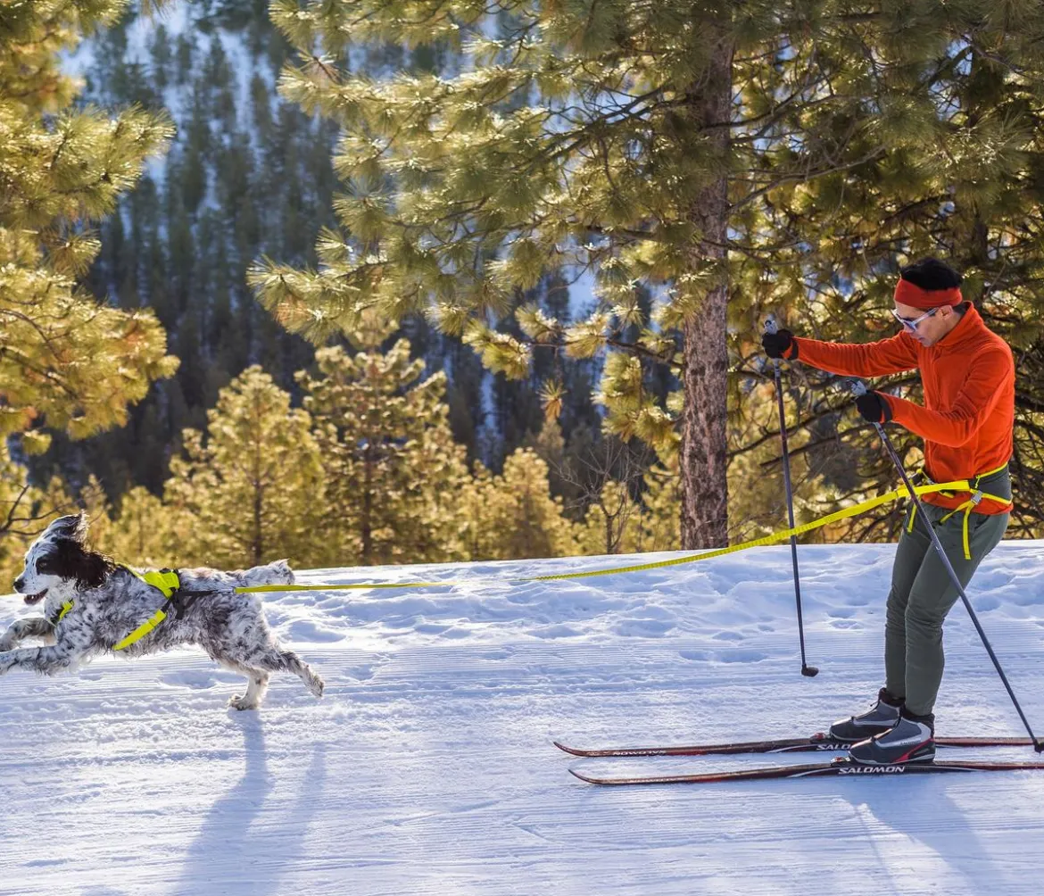 RUFFWEAR® Joring System Omnijore™