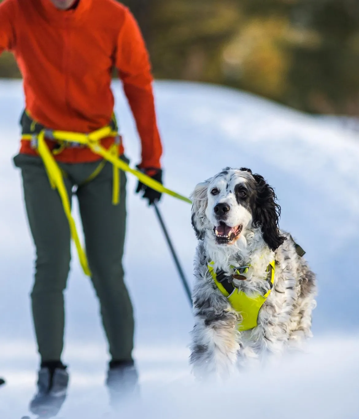 RUFFWEAR® Joring System Omnijore™