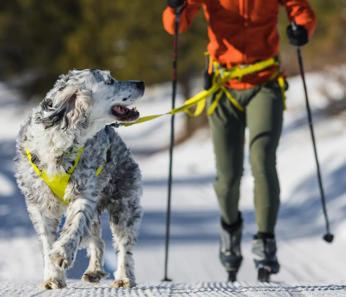 RUFFWEAR® Joring System Omnijore™