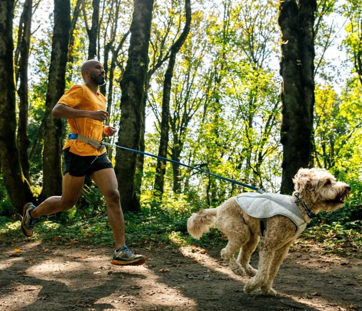 RUFFWEAR® kühlende Hundeweste Swamp Cooler™