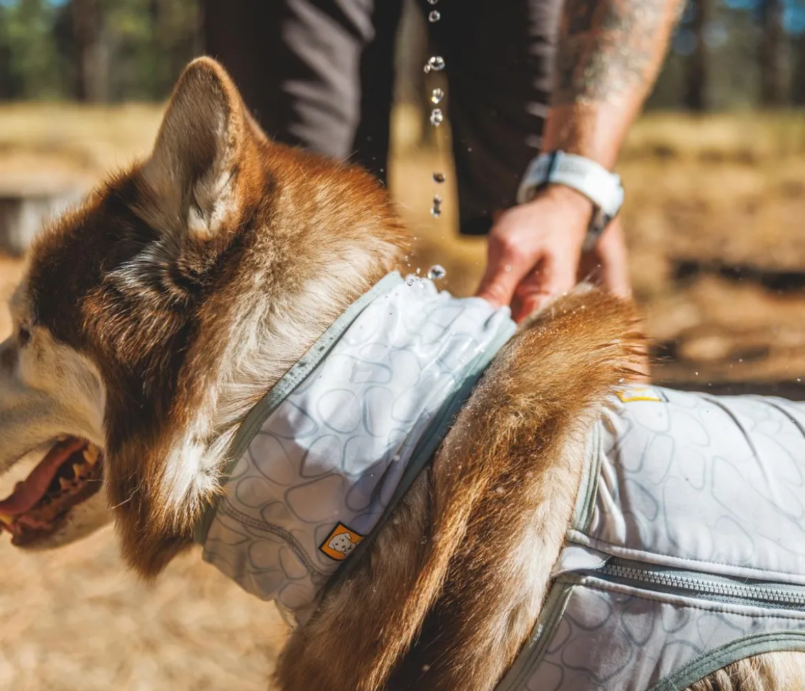 RUFFWEAR® kühlendes Hundehalstuch Swamp Cooler™
