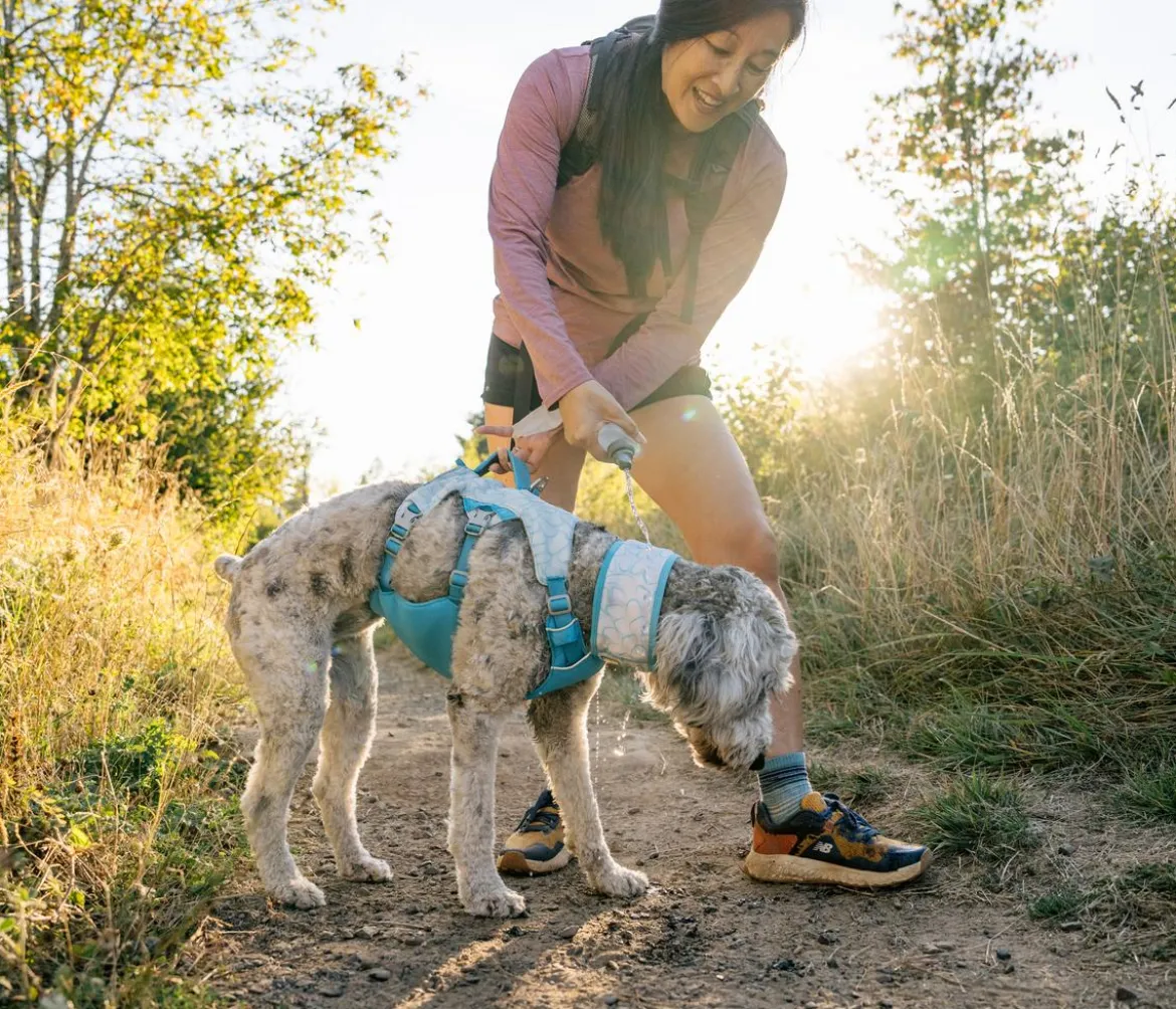 RUFFWEAR® kühlendes Hundehalstuch Swamp Cooler™
