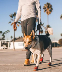 RUFFWEAR® Pfotenschutzschuh Grip Trex™, 2er Set