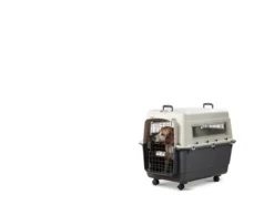 SAVIC Reisebox Andes inkl. Rollen, grau, ca. B100/H80/T67 cm