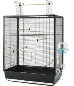 SAVIC Vogelheim Primo 60 open Empire