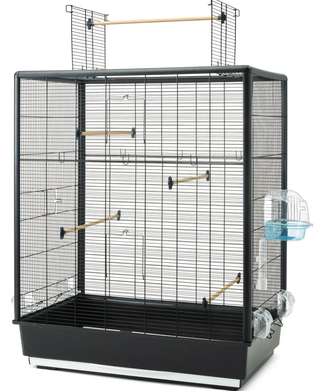 SAVIC Vogelheim Primo 60 open Empire