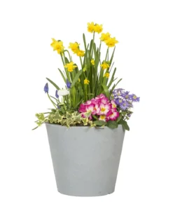 Scheurich Kunststoff-Topf C-Cone, rund