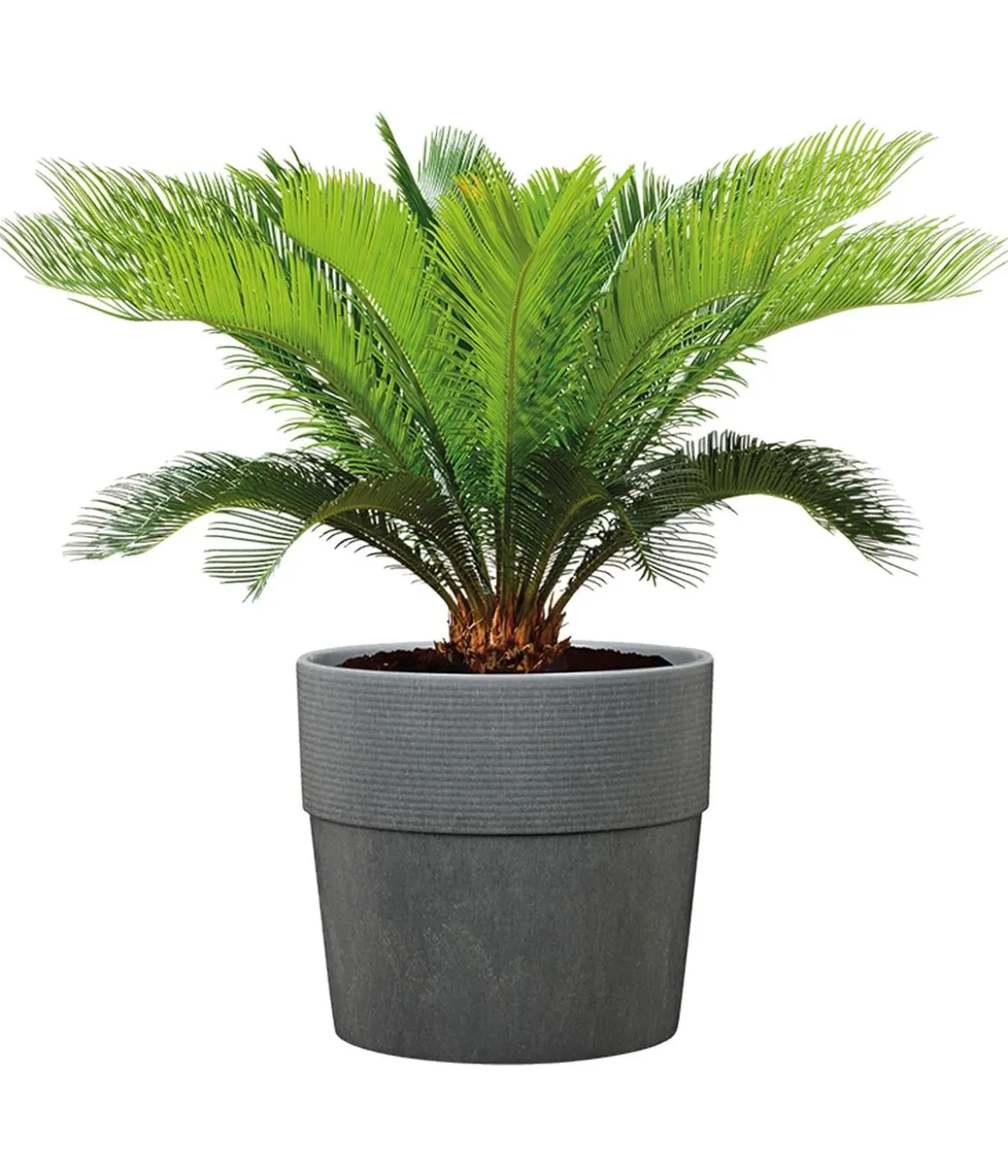 Scheurich Kunststoff-Topf Groove+, rund, ca. Ø28,5/H26 cm