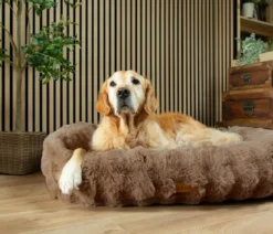 Scruffs Hundebett Alpine Box Bed