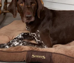 Scruffs Hundekissen Chester Matress