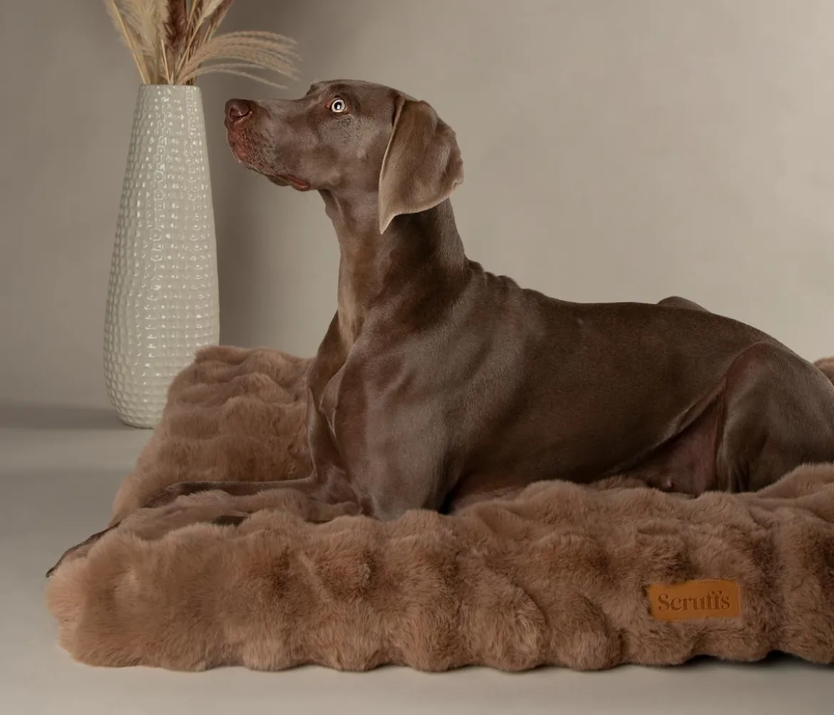 Scruffs Hundematratze Alpine Matress