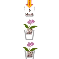 Seramis Spezial-Substrat für Orchideen