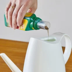 Seramis Vitalnahrung für Kakteen & Sukkulenten, flüssig, 200 ml