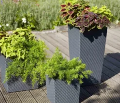 Siena Garden Kunststoff-Säule Eco Nizza, konisch, ca. B40/H75/T40 cm