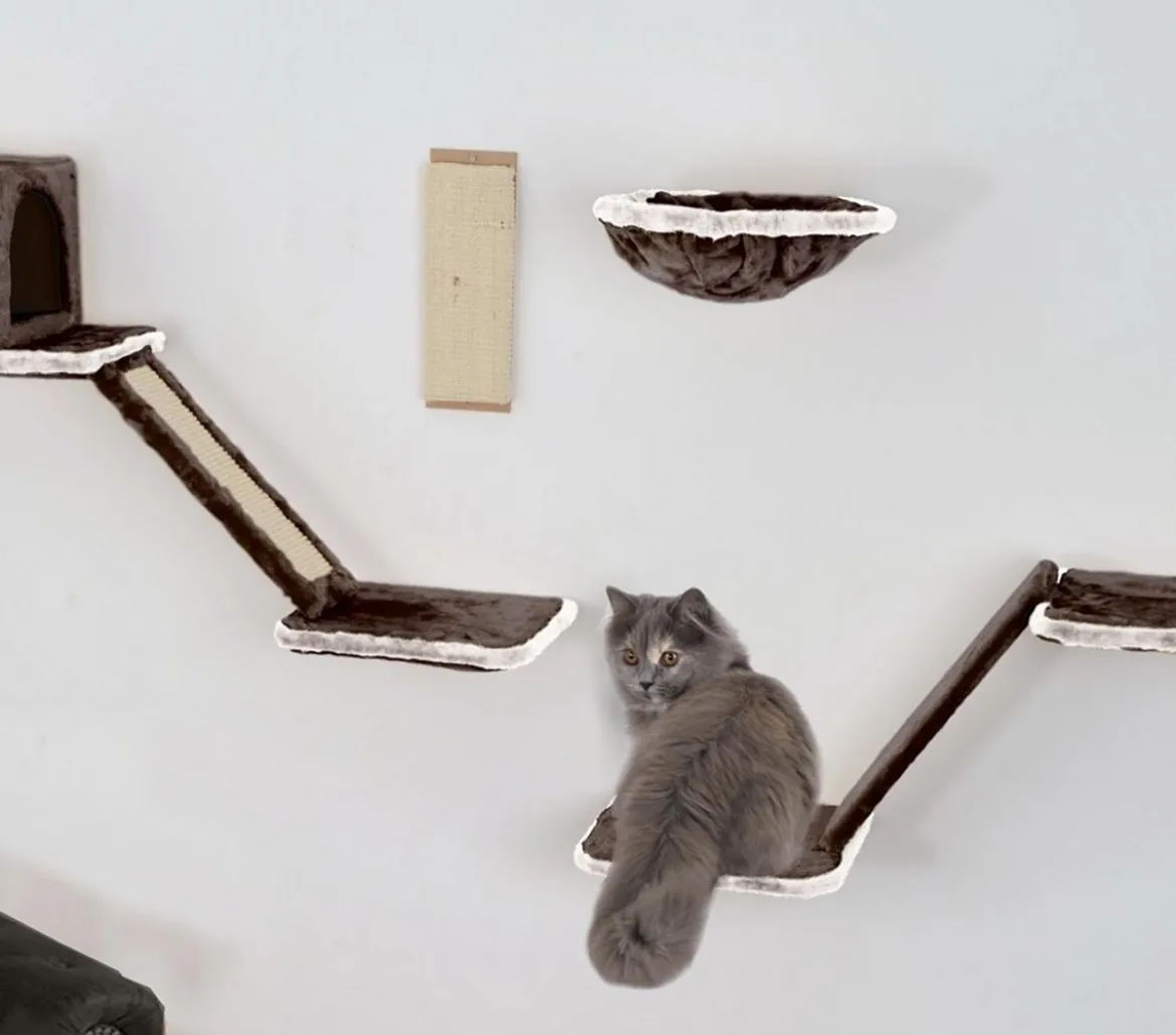 Silvio Design Katzen-Kletterwand, 8-teilig