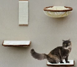Silvio Design Kletterwand für Katzen, 4-teilig