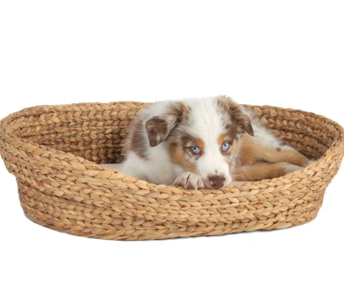 Silvio Design Kuschelbett Wasserhyazinthe, oval