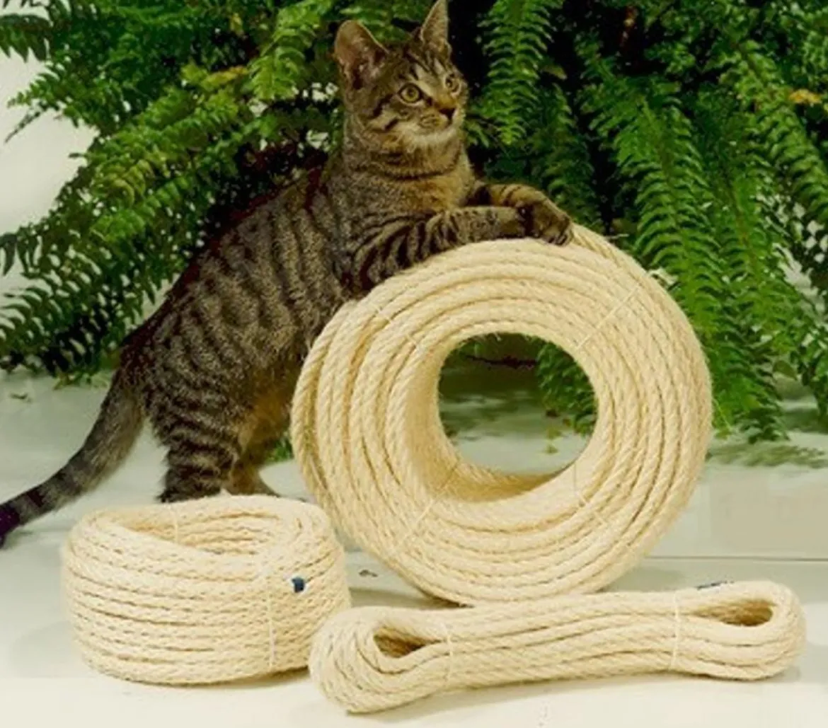 Silvio Design Sisaltauwerk für Katzen