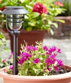Smart Garden Solar-Pfahlleuchte Avant 5er-Set, ca. B13,2/H43/T13,2 cm