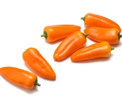 Snackpaprika, orange