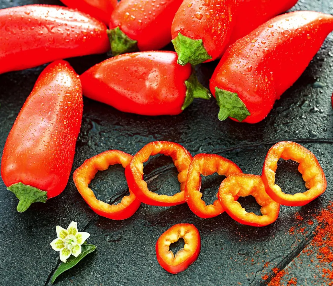 Snackpaprika, rot