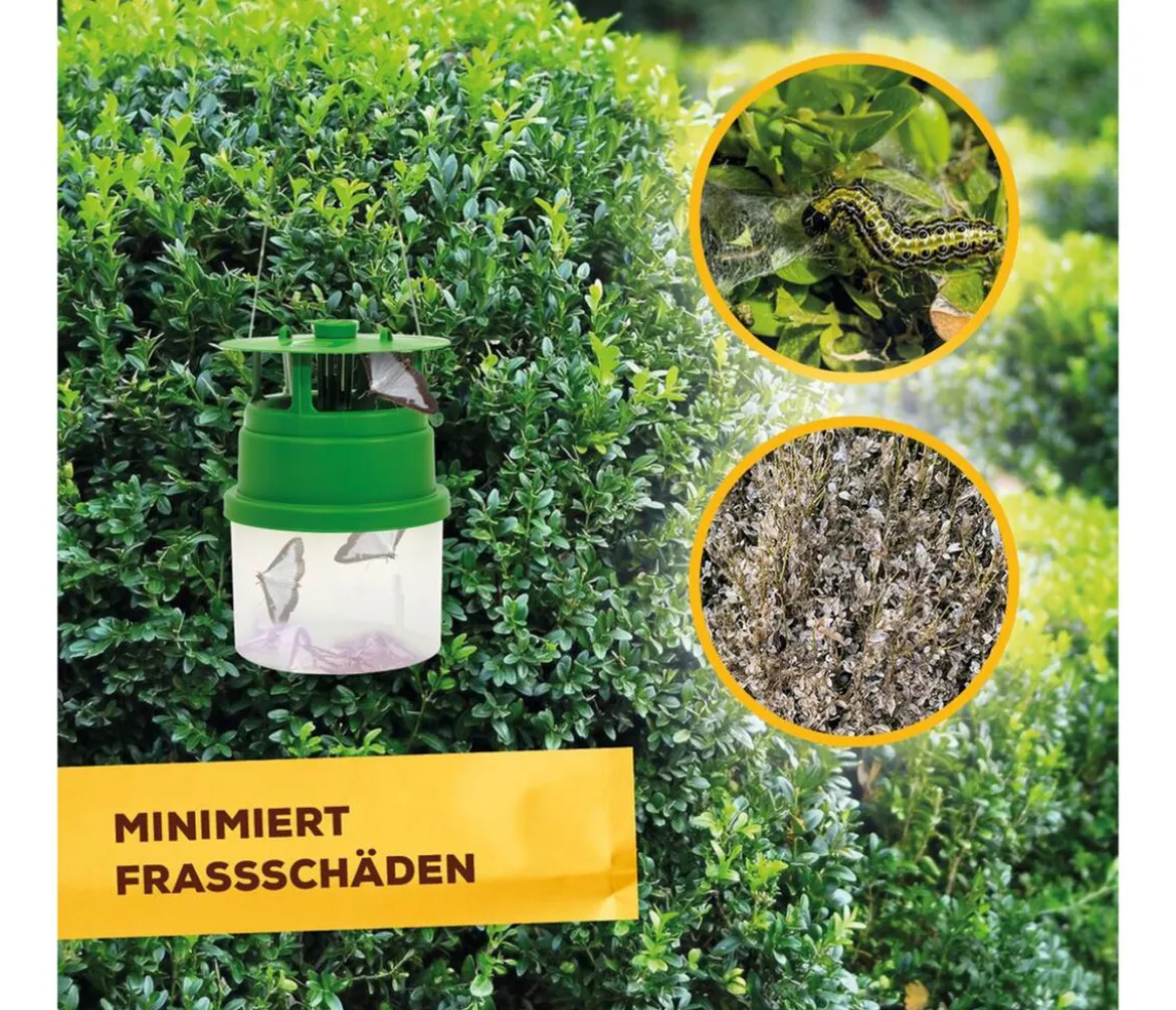 Solabiol® Buchsbaumzünsler-Falle