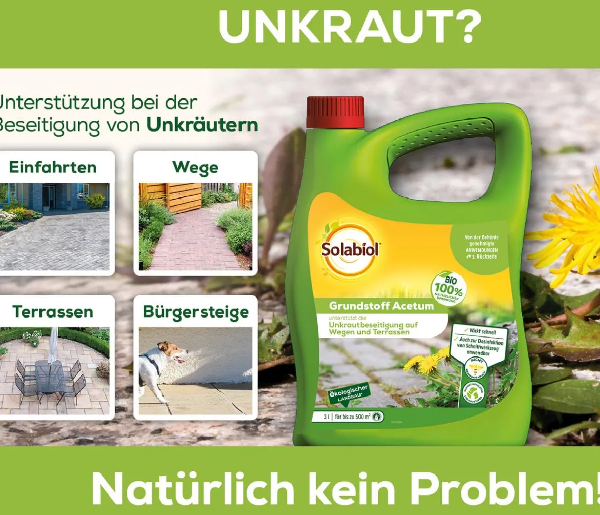 Solabiol® Grundstoff Acetum, flüssig, 3 l