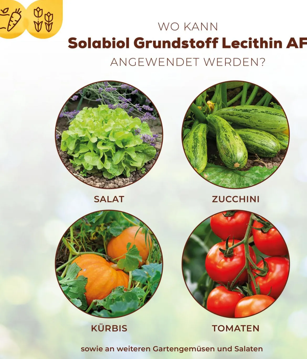 Solabiol® Grundstoff Lecithin Spray, flüssig, 1 l