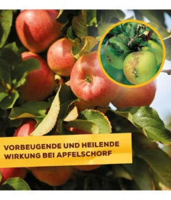 Solabiol® Pilzfrei AF, flüssig, 750 ml