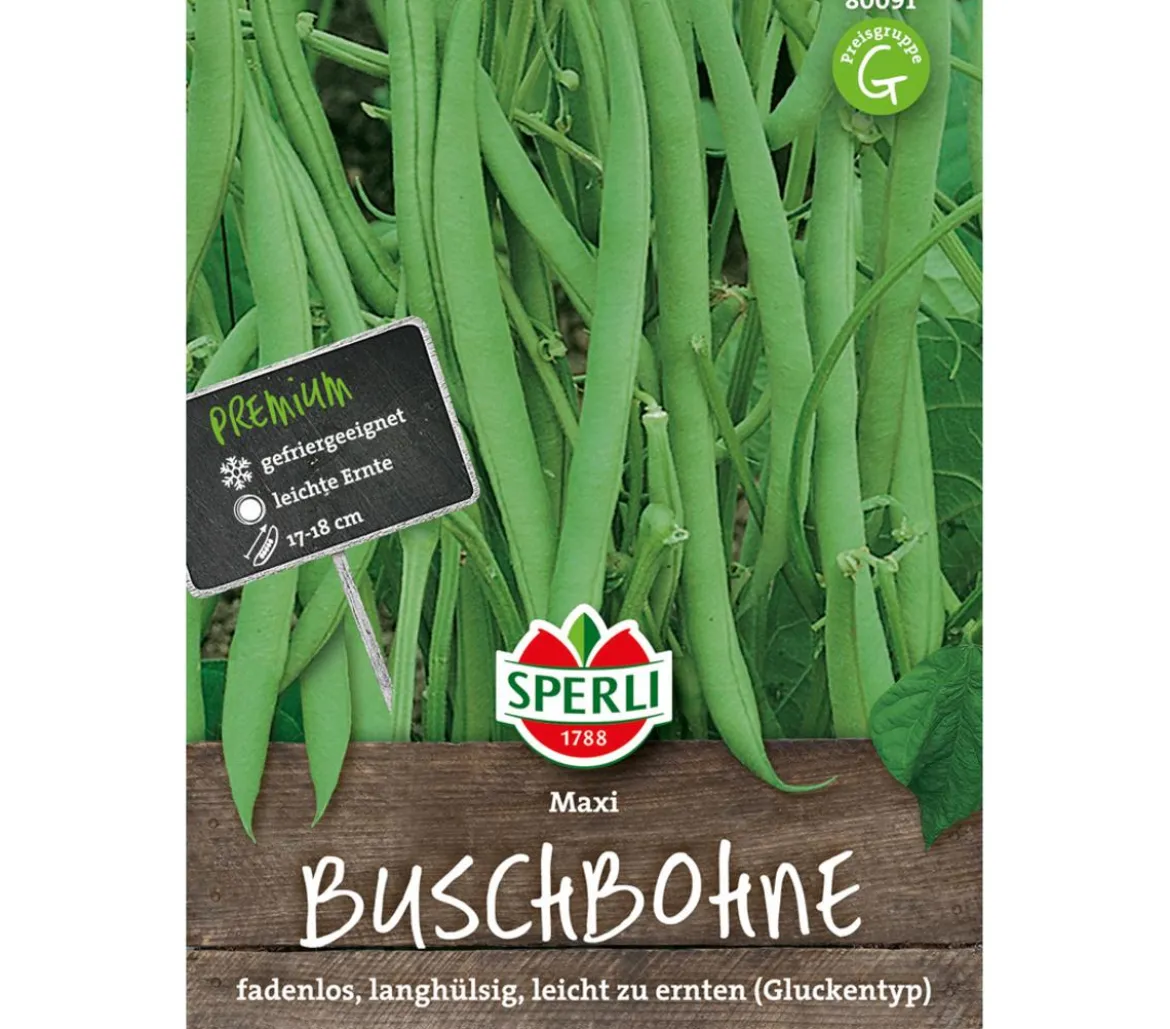 SPERLI Samen Buschbohne 'Maxi'