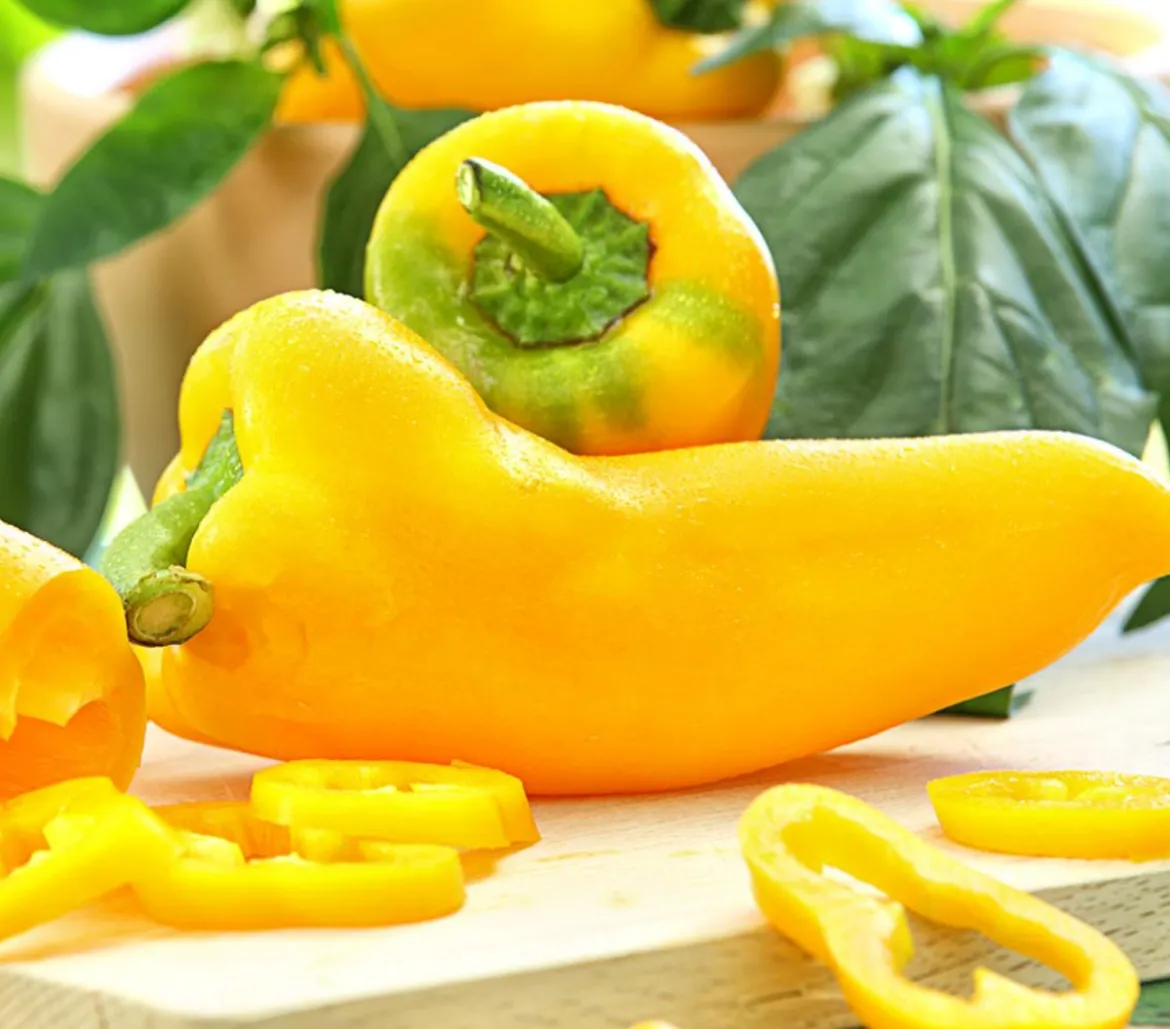Spitzpaprika, gelb